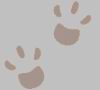 Paw Print.gif