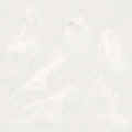 bgnd.jpg (11850 octets)