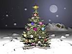 sapin.jpg